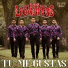 Tu Me Gustas - Single