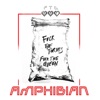 Amphibian - Ftq