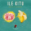 Ile Kitu (feat. Kaskazini) - Single