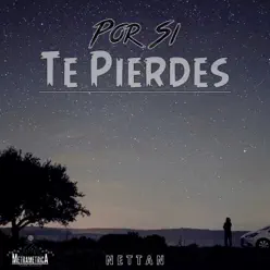 Por Si Te Pierdes - Single - Nettan
