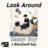 Look Around - Single album lyrics, reviews, download