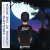 Looking At The Moon - Single