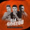 Ela Gostou (feat. Romulo Chavoso) - Niago e Seltinho lyrics