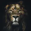 Stream & download Lion - Single