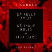 Så fullt av ja artwork