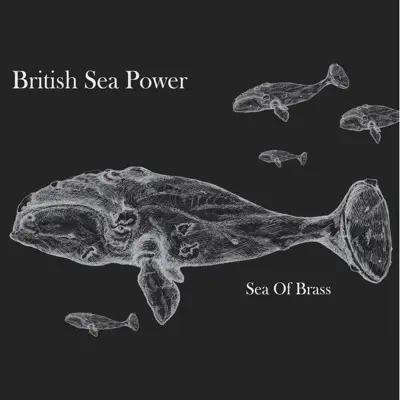 Sea of Brass - British Sea Power