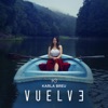 Vuelve - Single