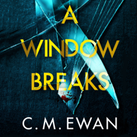 C. M. Ewan - A Window Breaks artwork