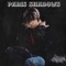 Paris Shadows - Lil Antuan lyrics