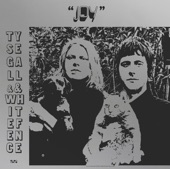 Ty Segall - Hey Joel, Where You Going With That?