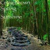 Spring Sunshine artwork