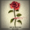 Roses (Remix) - Single
