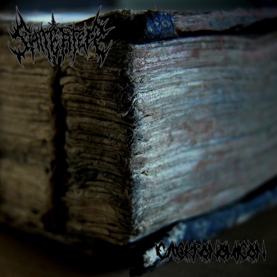 Cover artwork for Vore