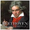 Tbilisi Symphony Orchestra - Symphony No. 9 In D Minor, Op. 125, Choral; II. Molto Vivace