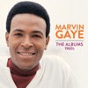 Marvin Gaye - Sweet Lorraine
