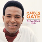 Marvin Gaye - The End of Our Road