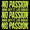 No Passion (feat. Los Rakas) - Nina Sky lyrics