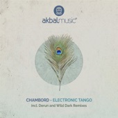 Electronic Tango (Derun Remix) artwork
