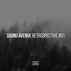 Sound Avenue Retrospective #01 by Various Artists album reviews, ratings, credits