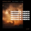 Gotitas al viento (feat. Feid) - Single