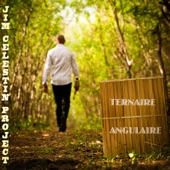 Ternaire Angulaire - EP artwork