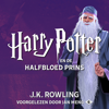 Harry Potter en de Halfbloed Prins - J.K. Rowling