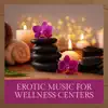 Erotic Music for Wellness Centers - X Hours Healing Sensual and Relaxing Songs album lyrics, reviews, download