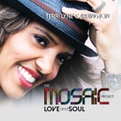 Terri Lyne Carrington - When I Found You (feat. Lizz Wright)