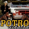 20 Corridos y Canciones