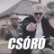 Csóró (feat. Rostás Szabika) - Pixa lyrics