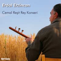 Erdal Erzincan
