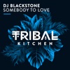 Somebody to Love (Radio Edit) - Single