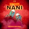 Nani - Ibraah lyrics