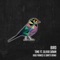 Bird (feat. Olivia Dawn) - TIME lyrics