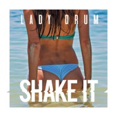 Shake It artwork