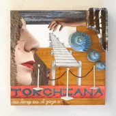 Torchiana - Cake