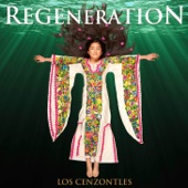 Los Cenzontles - Migration, Bonus Track (feat. David Hidalgo)