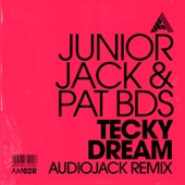 Tecky Dream (Audiojack Remix) artwork