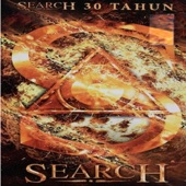 Search 30 Tahun artwork