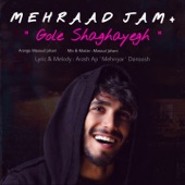 Gole Shaghayegh artwork