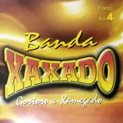 Forró, Vol. 4: Gostoso e Xamegado - Banda Xaxado