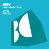 Stream & download Can't Forget You