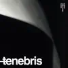 Tenebris album lyrics, reviews, download