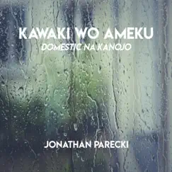 Kawaki wo Ameku (From 