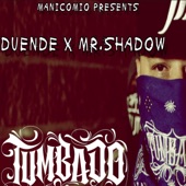 Tumbado (feat. Mr Shadow) artwork