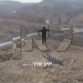 לאן artwork