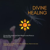 Divine Healing (Divine Melodies For Deep Breath and Muscle Relaxation) (Calming Nature Music, Mind Relaxing Music, Meditation and Stress Relief, Vol. 7) artwork