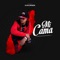 Mi cama - Lil Jay El Especialista lyrics