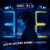 Non abbiamo armi: Il concerto artwork