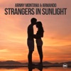 Strangers in Sunlight (Radio Edit) - Single